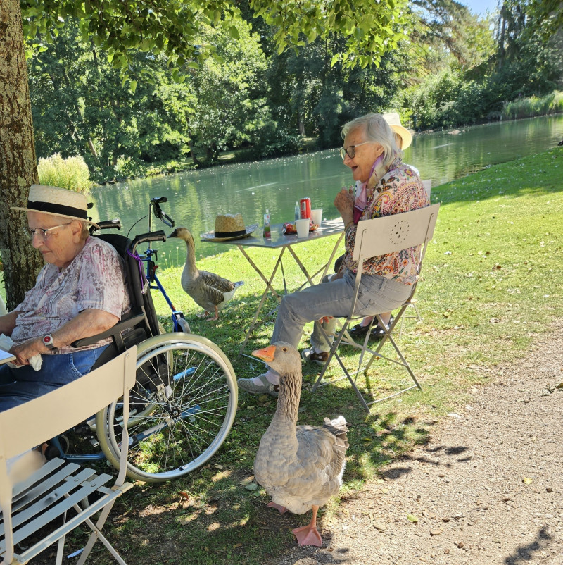 Sortie estivale au parc de la Bouzaise