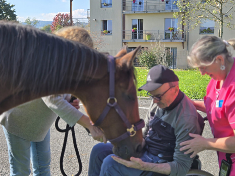 Rencontre inoubliable avec nos compagnons à crinière