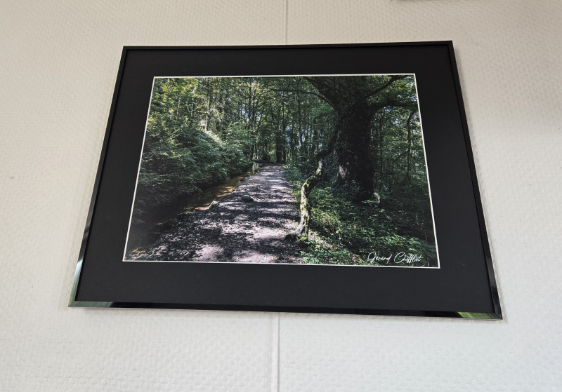 Entre nature et patrimoine : une exposition inspirante