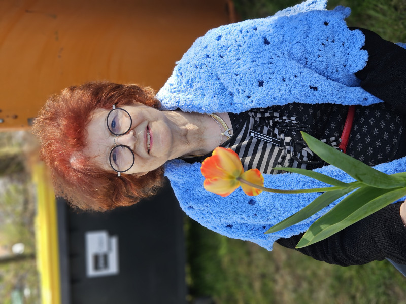 Cueillette de tulipes : un après midi de partage et de bienveillance