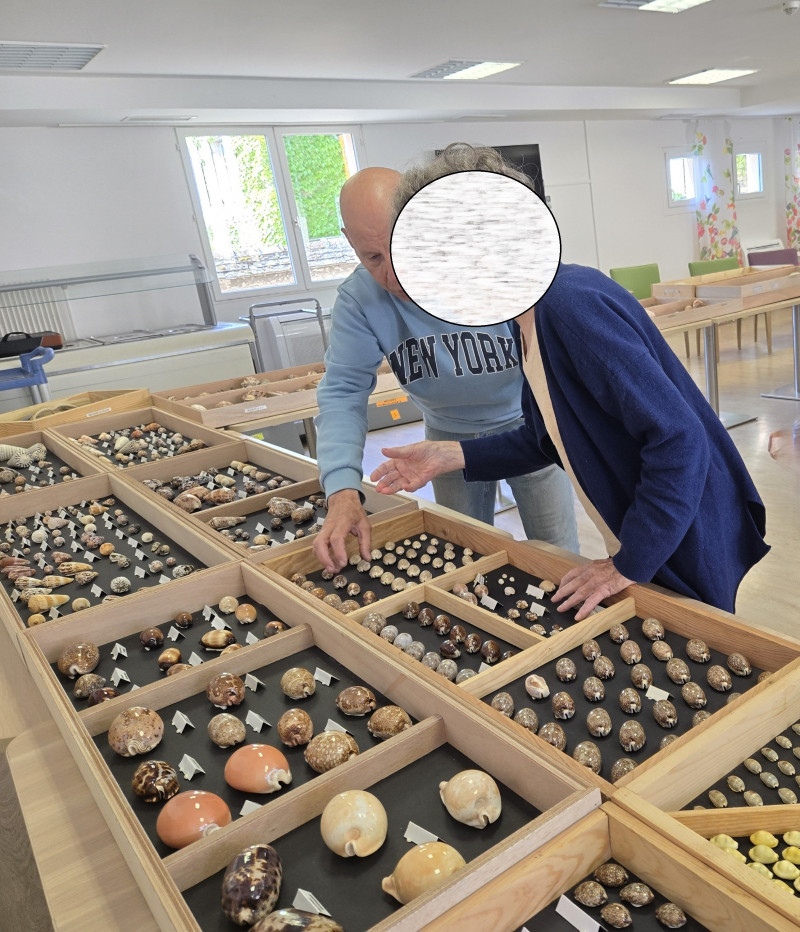 Un voyage au cœur des mers avec la collection de coquillages de Monsieur Gonnard
