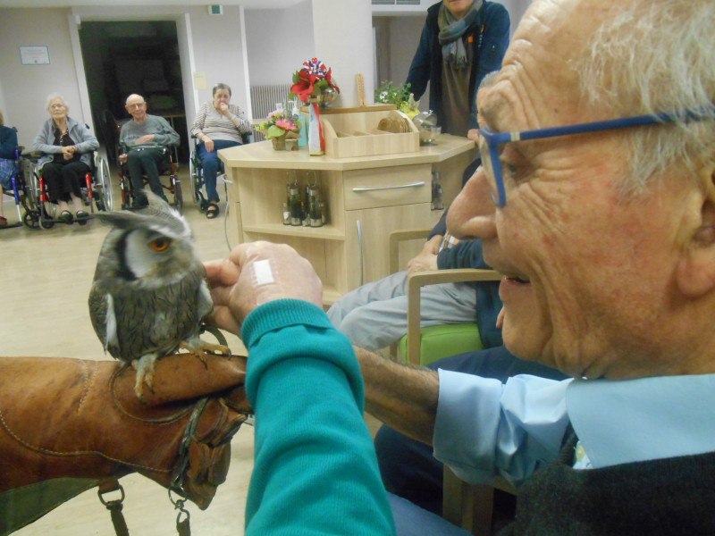 Les Chouettes du Coeur