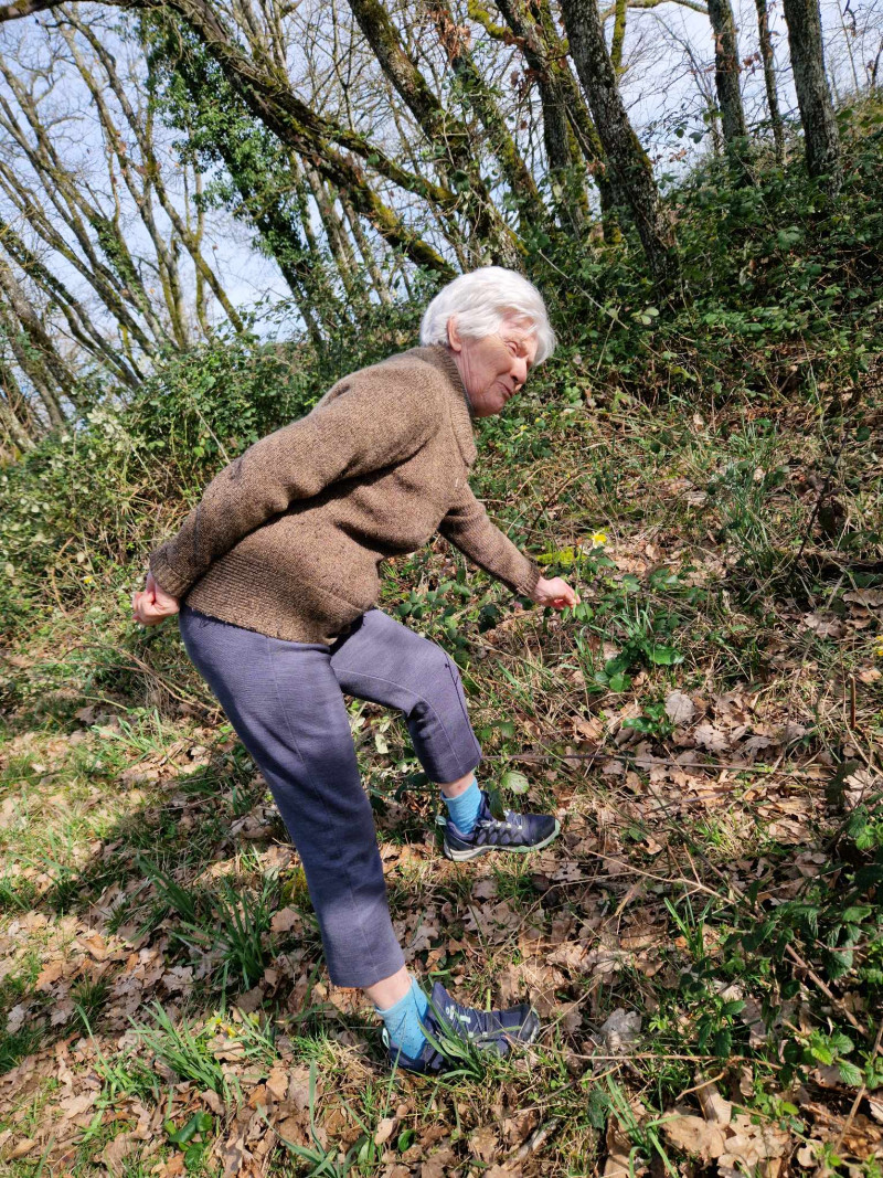 Cueillette de Jonquilles (Suite)