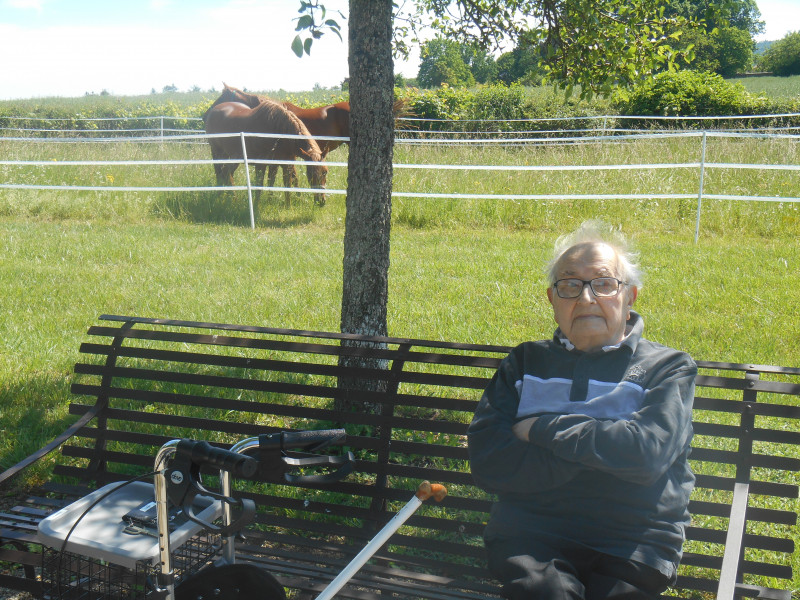 Sortie dans le parc. Visite des chevaux