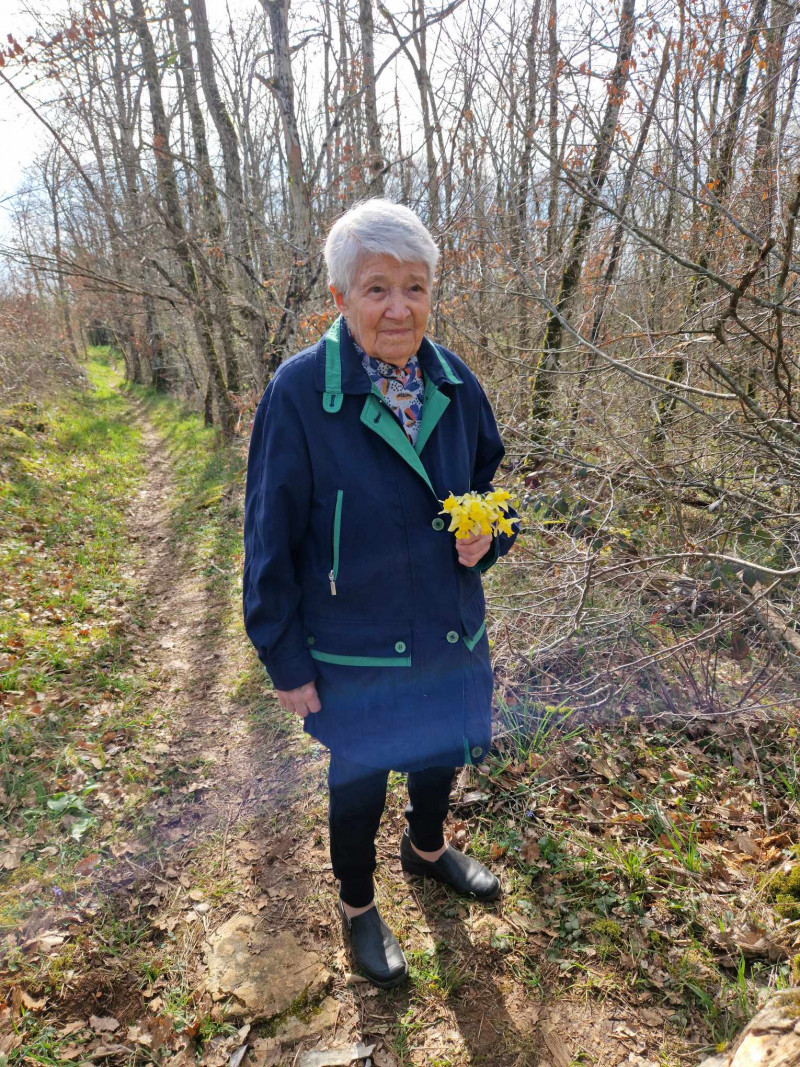 Cueillette de Jonquilles