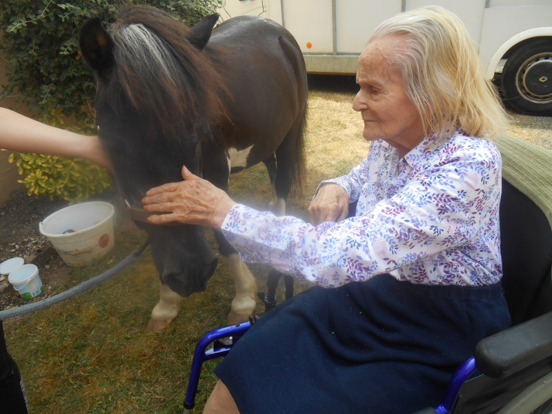 Visite de 2 Poneys a Marloux ( Suite)