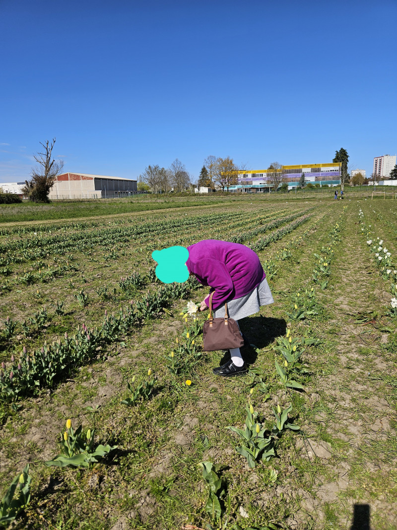 Cueillette solidaire : nos résidents engagés pour « Tulipes contre le cancer »