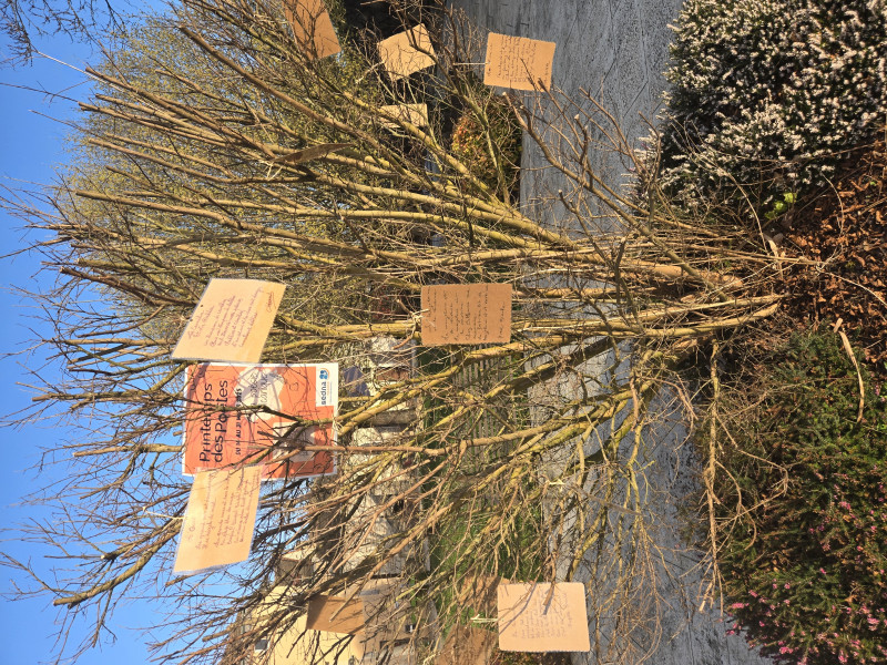 Célébration du printemps des poètes à Marloux : Une Explosion de créativité et de partage