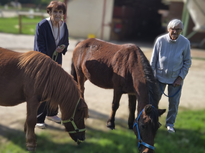 Sortie au manège de la Tuilerie à Dracy