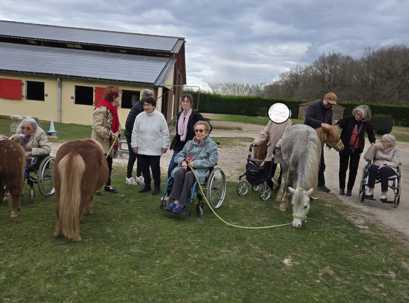 Une rencontre inoubliable au centre équestre « Manège de la Tuilerie à Dracy le Fort » : les poneys font chavirer les cœurs !