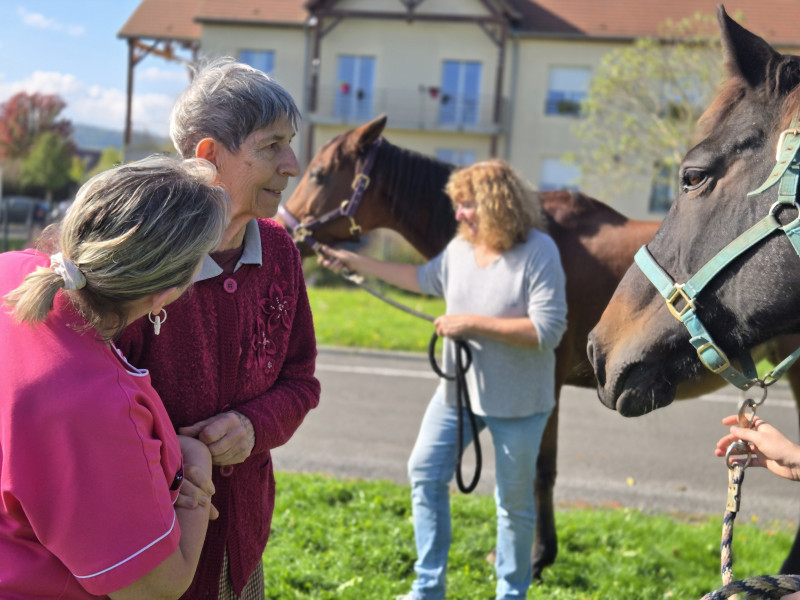 Rencontre inoubliable avec nos compagnons à crinière