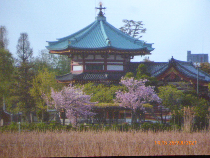 diaporama sur Tokyo