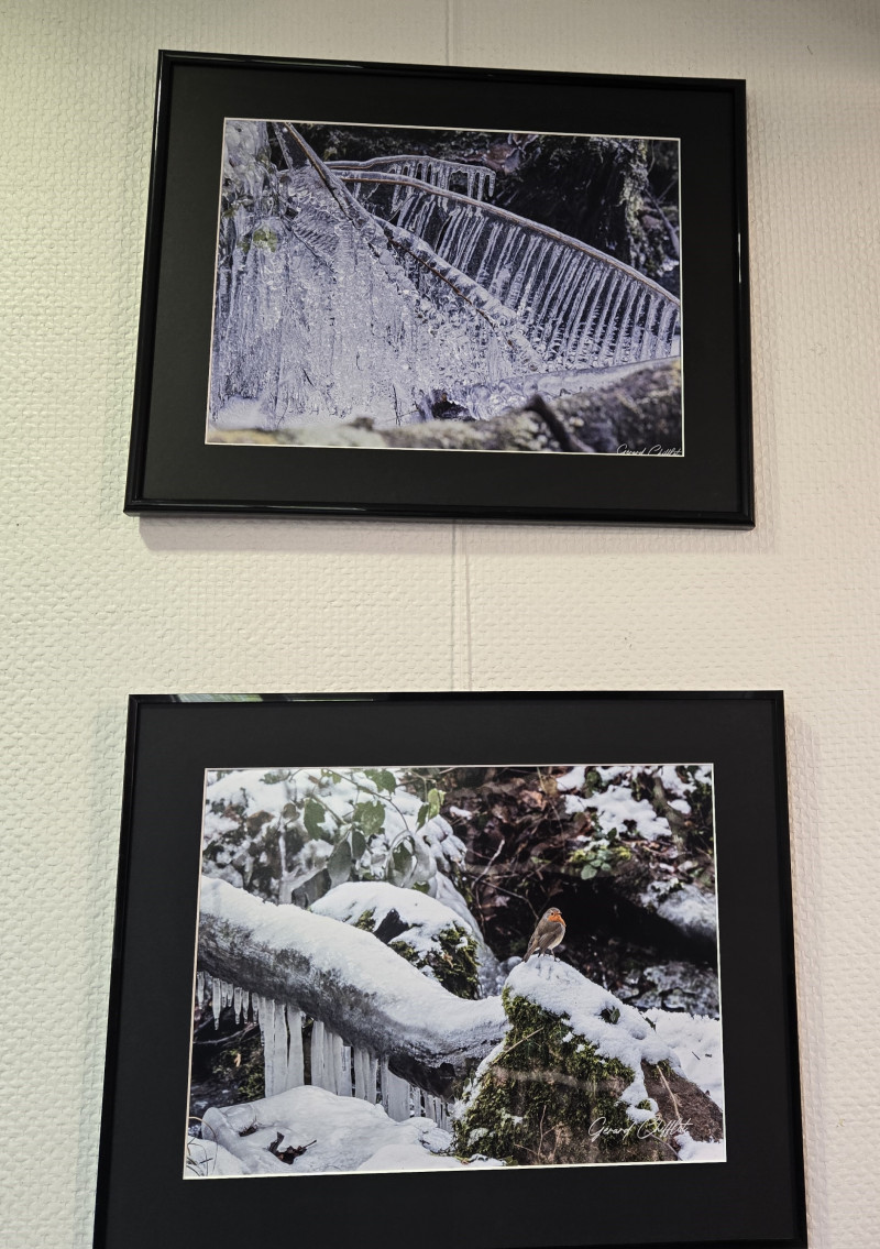 Entre nature et patrimoine : une exposition inspirante