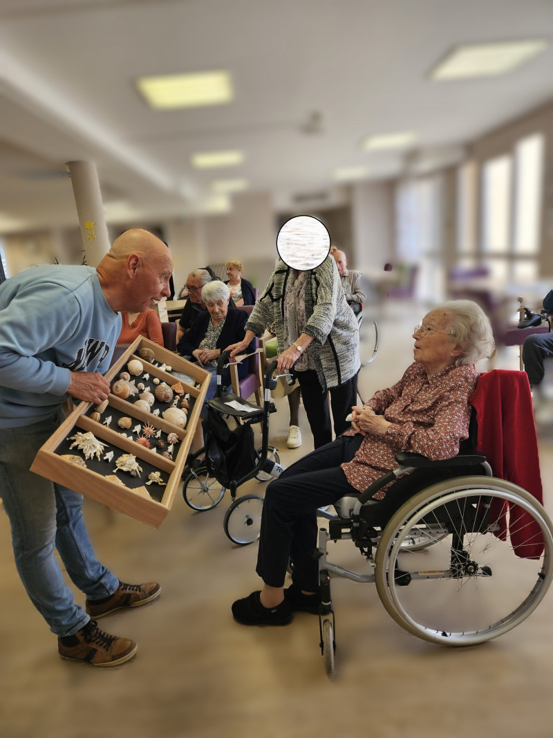 Un voyage au cœur des mers avec la collection de coquillages de Monsieur Gonnard