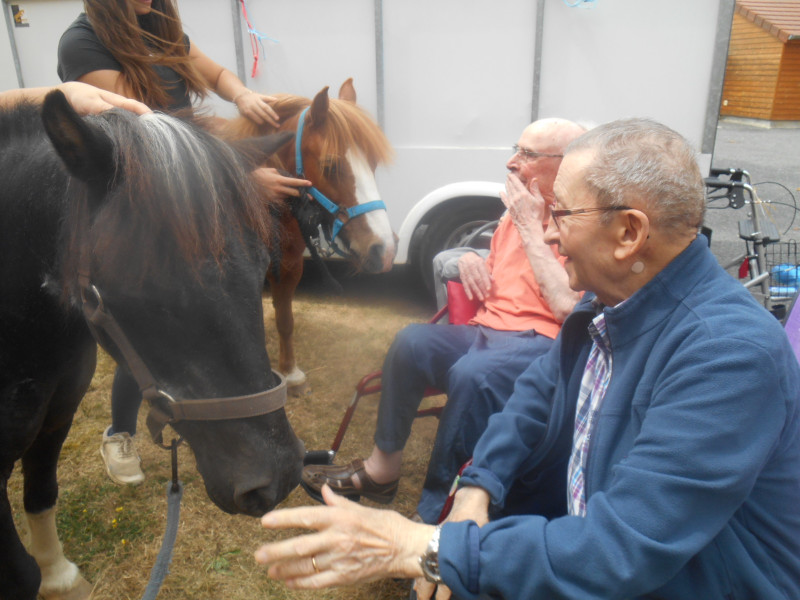 Visite de 2 Poneys a Marloux