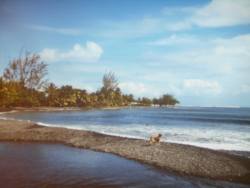 DIAPORAMA SUR LA POLYNESIE