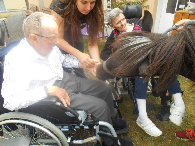 Visite de 2 Poneys a Marloux