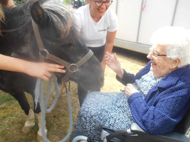 Visite de 2 Poneys a Marloux ( Suite)