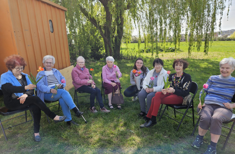 Cueillette de tulipes : un après midi de partage et de bienveillance