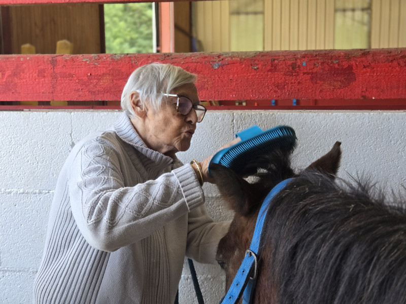 Sortie au manège de la Tuilerie à Dracy