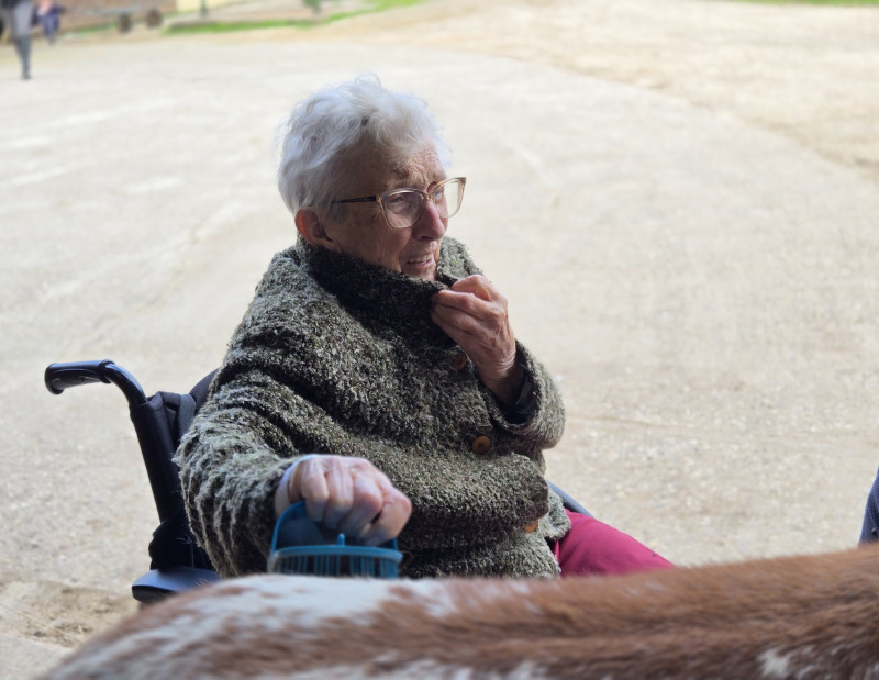 Sortie au manège de la Tuilerie à Dracy