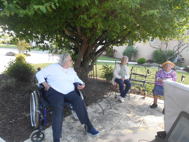 Quiz Musical dans le parc