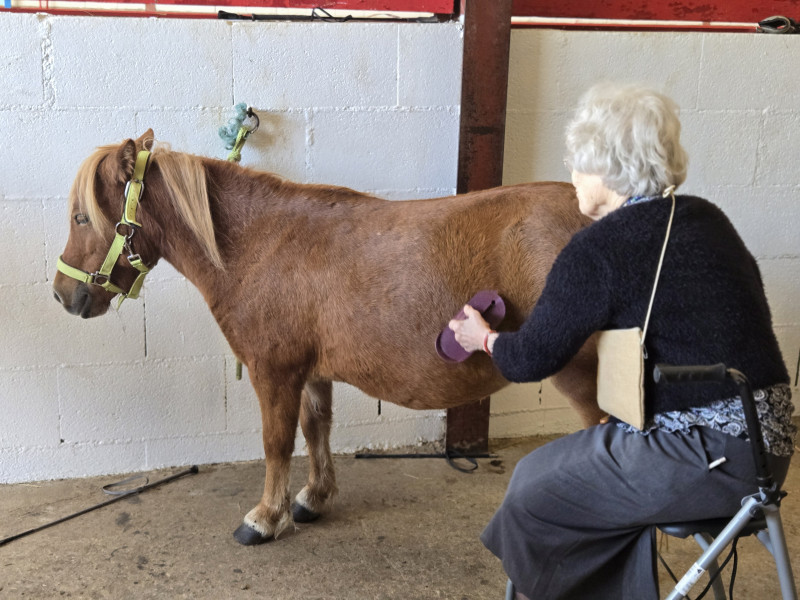 actualité EHPAD SEDNA