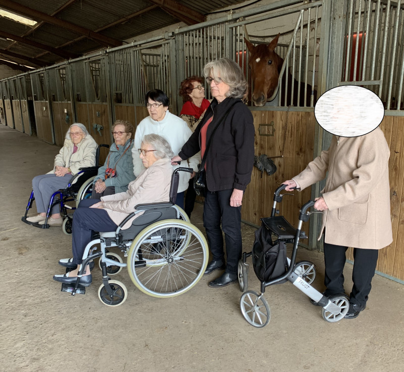 Une rencontre inoubliable au centre équestre « Manège de la Tuilerie à Dracy le Fort » : les poneys font chavirer les cœurs !