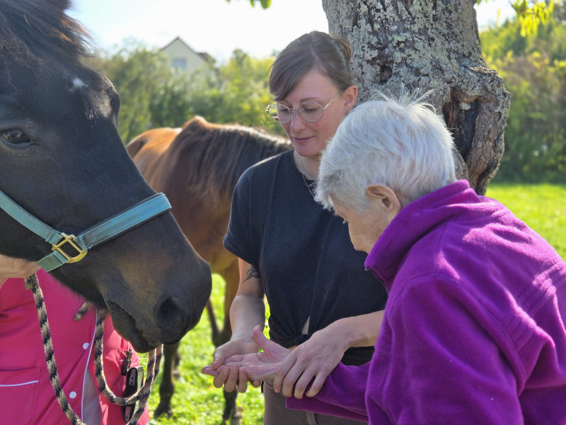 actualité EHPAD SEDNA