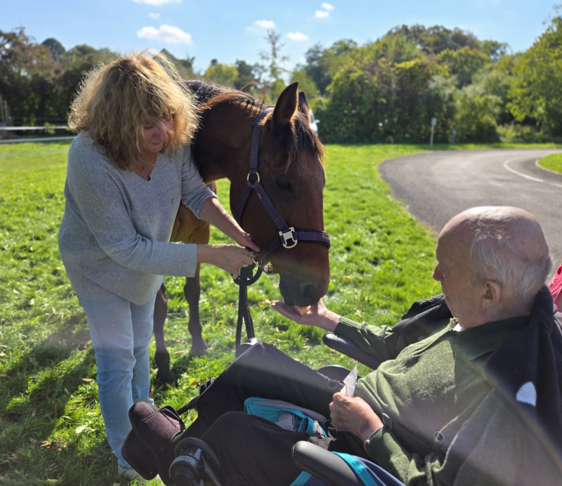 Rencontre inoubliable avec nos compagnons à crinière