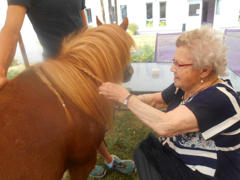 Visite de 2 Poneys a Marloux ( Suite)