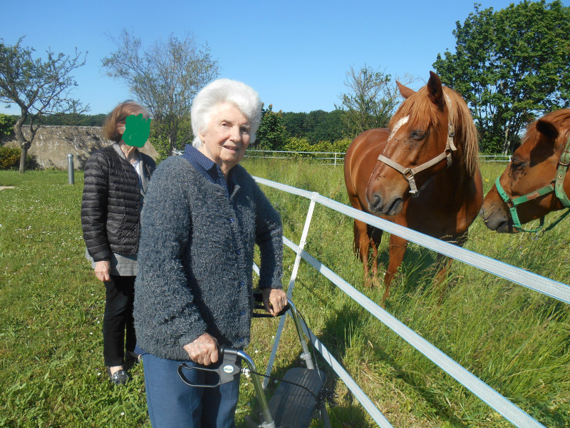 Sortie dans le parc. Visite des chevaux