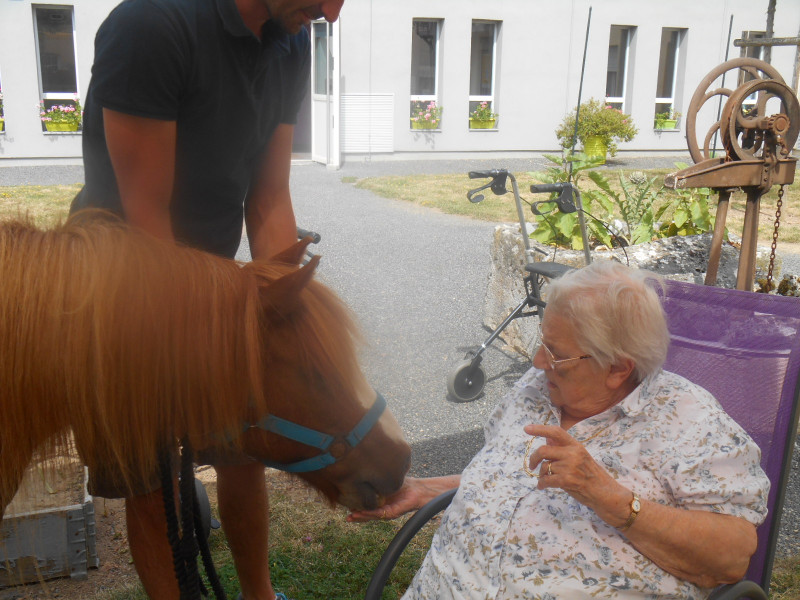 Visite de 2 Poneys a Marloux ( Suite)