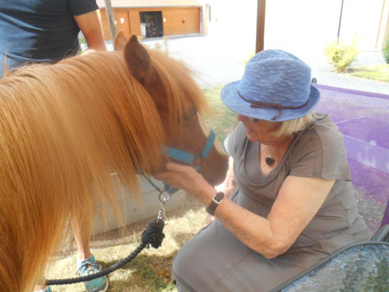 Visite de 2 Poneys a Marloux ( Suite)